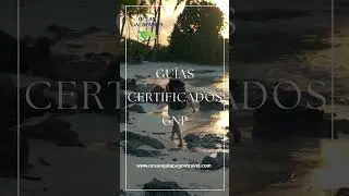 www.Oceangalapagostravel.com oceangalapagostravel@gmail.com @oceangalapagostravel #viajes #galápagos