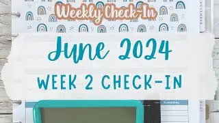 June 2024 Week 2 Check-In | Track Expenses with Me! #monthlybudget #debtfreejourney