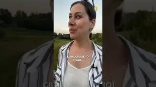Невже рослини спілкуються? Вчені кажуть, що так! 