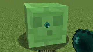 what inside slime?