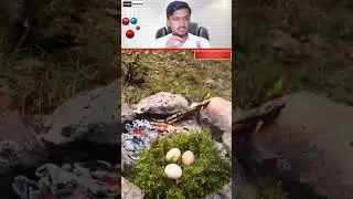 She Boiled Eggs 🥚 with Grass #camping #survival #bushcraft #outdoors #lifehack