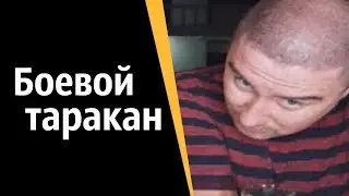 Боевой таракан | КОНСТАНТИН КАДАВР (НАРЕЗКА СТРИМА)