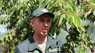 Бо иштироки намояндагони соҳаи кишоварзӣ машварати амалӣ ташкил карда шуд