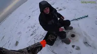 LADOGA, KRENITSY, PERCH ON THE 