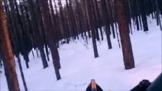 Немного по целику