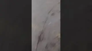 Нападение у школы 2.