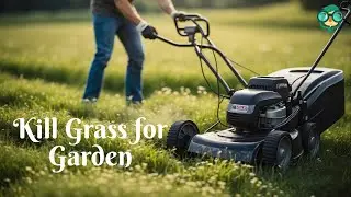 How to Kill Grass for Garden? How to Remove Grass from Garden? How to Clear Grass for Garden?
