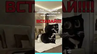 тот самый человек который не даёт поспать 🤣😢😡 