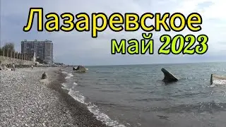 Лазаревское 2023/Новое знакомство/Зацвело тюльпановое дерево/ май