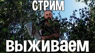 СТРИМ ЛЮТЫЕ ЗАМЕСЫ С СОДЕДЯМИ РАСТ / RUST