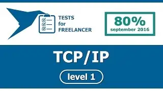 Freelancer - TCP/IP - level 1 - test (80%)