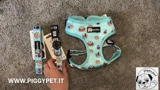 Pettorina Per Cani Adorabao