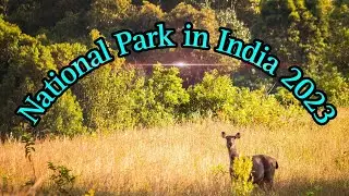 National Parks in India 2023 | Wildlife | #nationalpark #india #wildlife