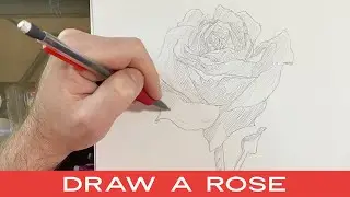 HOW TO DRAW A ROSE - Flower Drawing Art Lesson