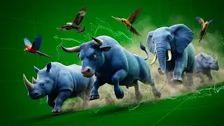 cow green screen animals running walking stampe animals full HD video green cow cartoon speed