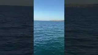 Черное море #crimea #крым #fishing #рыбалка