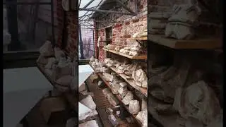 Крыши и Выше