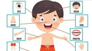 Parts of the Body II Kids Vocabulary II Name of Parts of the body