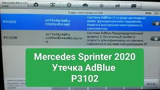 Sprinter 2020🇩🇪P3102. AdBlue Пысается☔🤦🏻‍♂️