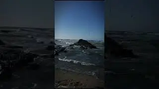 океан #shorts #short #shortvideo #vlog #minivlog #ocean