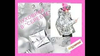 Серебряные куртки, пуховики и парки/27 моделей