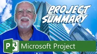 Display the Project Summary Task