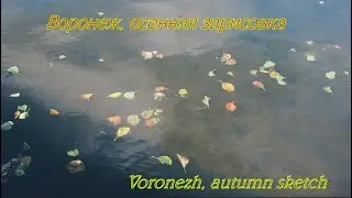 Воронеж, осенняя зарисовка. Voronezh, autumn sketch