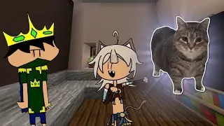 OIIAOIIA Cat Minecraft