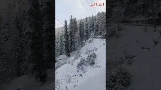 Murree today  snowfall update | Snowfall Murree | snowfall murree 