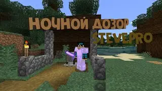 Ночной дозор StevePro
