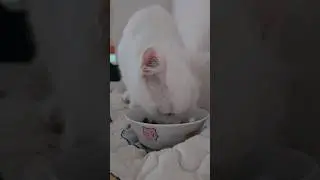 Завтрак с доставкой!