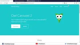 How to fix owl carousel 2  problem (or how to use owl carousel 2 with problem fix bangla tutorial)