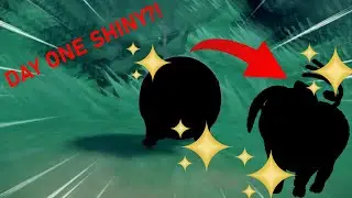 DAY 1 SHINY LECHONK!!! | QwilPlays Pokemon Scarlet