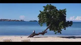 Negril beach side