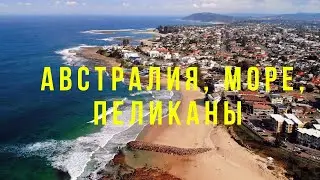 The Entrance  - прибрежный город Австралии