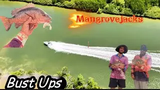 SLAYING MANGROVE JACKS | HinchinBrook fishing | (lure give away)