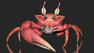 Sea Crab