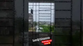 Rain I Monsoon 