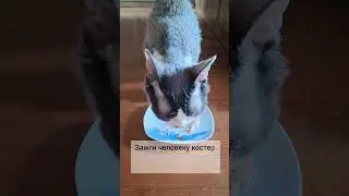 29 апреля 2025 г.