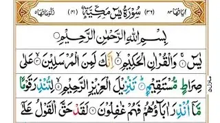 Surah Ya-Sin (36) | Heart-Touching Tilawat | Rashid Al-Afasi | RTH Urdu 