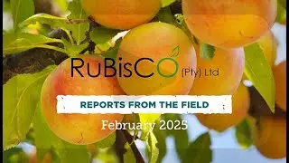 RuBisCo PTY Ltd 
