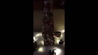 2016 Holiday Lights - interior