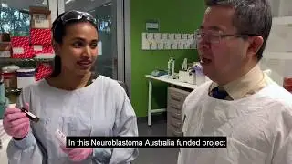 Ground breaking research - video update from Associate Professor Tao Liu