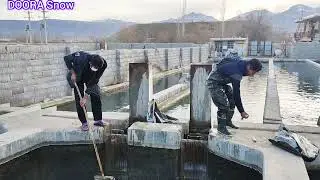 Working in cold water below zero degrees:Ali's effort for well-being of her family 2024