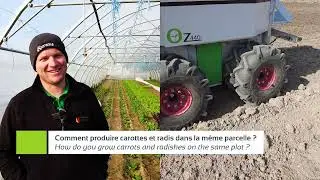 Cultiver carottes et radis en simultané avec un robot maraîcher Oz