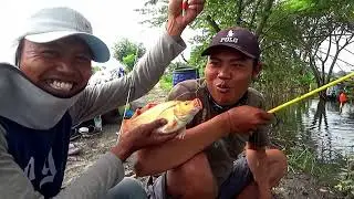 Awal saya mancing disini terheran heran dengan jenis ikan nya