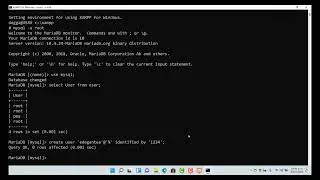 Laravel 9 - Parte 2 - Creación de un usuario para el Servidor de Base de Datos