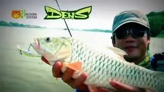 7Seas Present Halcyon (JDM) Fishing Lure [Ep2]