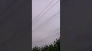 Орнитологические сети. Паутина, леска 0.11