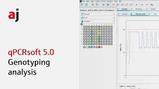 5. qPCRsoft 5.0 – Genotyping analysis